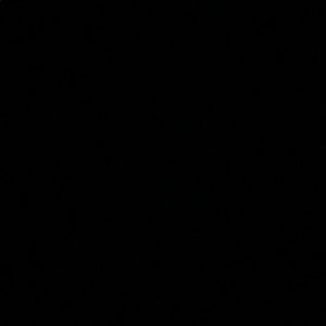 Meet your Posher, Lexi